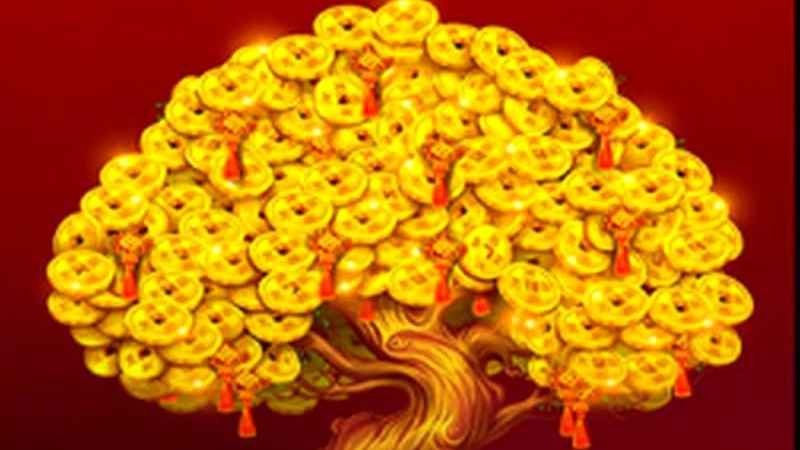 在星空体育玩多福多财街机版,让你多福又多财