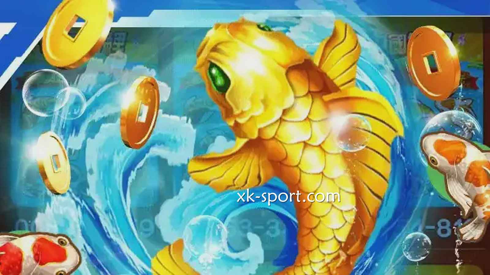 星空体育《中国锦鲤》为你送锦鲤，玩过才懂它的好