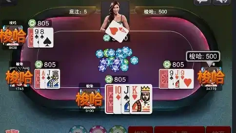 梭哈游戏投注界面-星空体育